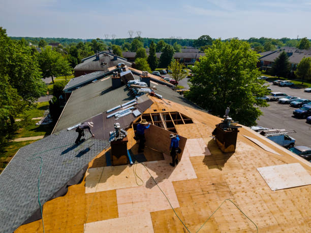 Best Residential Roof Replacement  in East Moline, IL