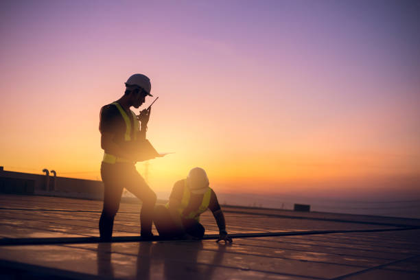 Best Roof Gutter Cleaning  in East Moline, IL