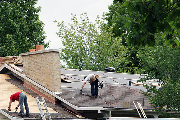 Best Metal Roofing Contractor  in East Moline, IL